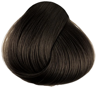 CPR Hair Colour 4.1