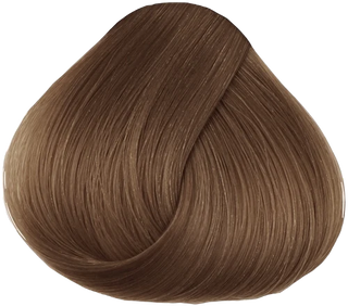 CPR Hair Colour 7.31