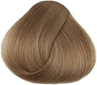 CPR Hair Colour 8.31