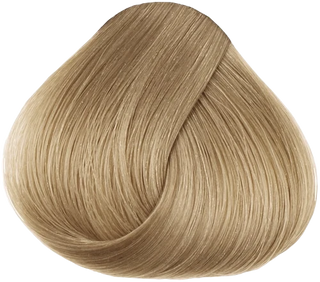 CPR Hair Colour 9.3