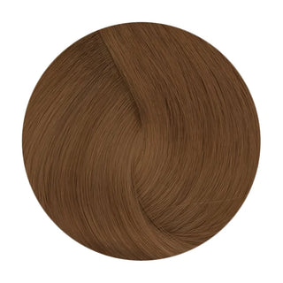 Delorenzo Nova Color CG7.43 60g