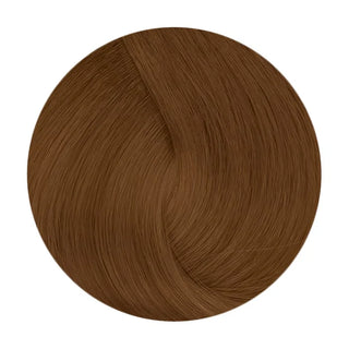 Delorenzo Nova Color CL7.4 60g