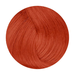 Delorenzo Nova Color Intense Copper 60g