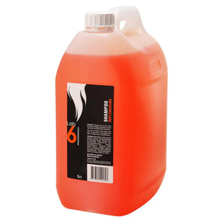 Lab 6 Shampoo Replenishing 5lt