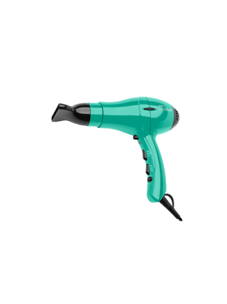 Wahl Supa Dryer Ionic Duck Egg