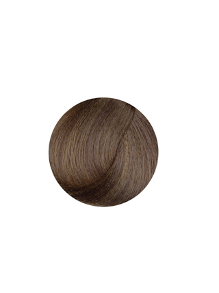 Hi Lift True Colour 8.01