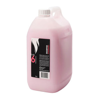 Lab 6 Shampoo Berry 5lt